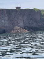 Helgoland