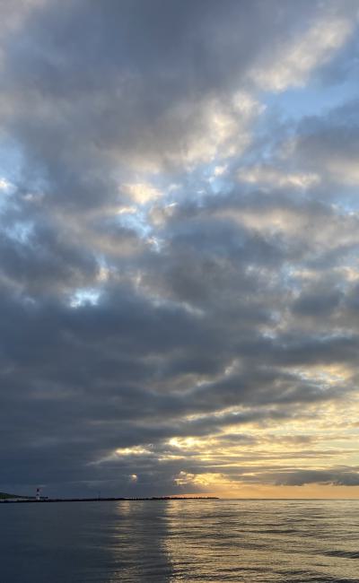 Img 7786